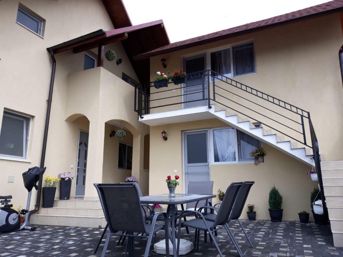 Ferienwohnung Casa Luisa Călimăneşti Exterior foto